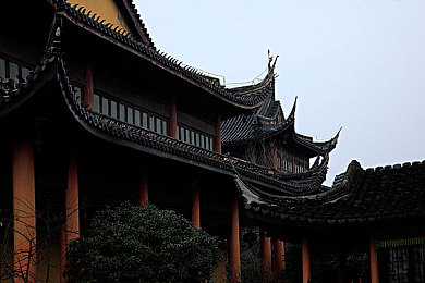天天搞天天搞：挑战极限，每日精进：揭秘高效游戏进阶秘籍