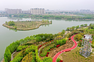 兔子水好软好多：仙兔润泽，净泉秘境，探寻东方柔水之旅-1