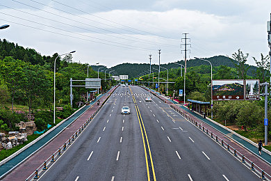 合家欢下册公交车：温馨出行新篇章，家庭共享公交情