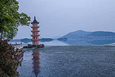 轻量版palipali入口：探索极致游戏体验：轻量版新游引爆玩家热情，颠覆传统玩法-2