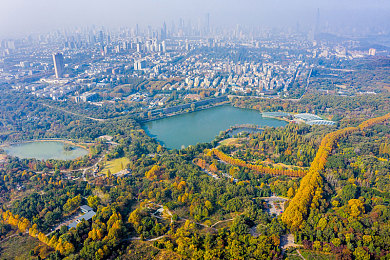 9 幺：神秘九域冒险之旅，解谜寻宝探奇境-3