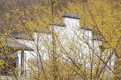 拨萝卜不盖被子可以吗图片：“安全童行，趣味识险——快乐学安全之旅”-2