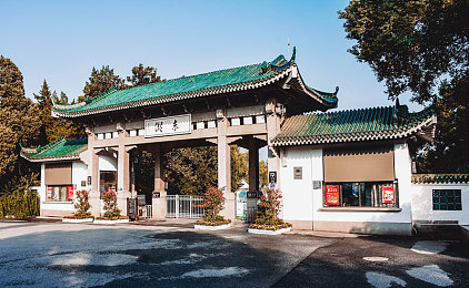 四虎最新地域网名免费苹果：独特网名苹果奖励引热潮，地域游戏社区火爆异常-2