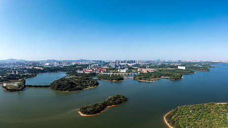 国精产品w灬源码三叶草：编程瑰宝焕新篇，助力产业腾飞之路-2