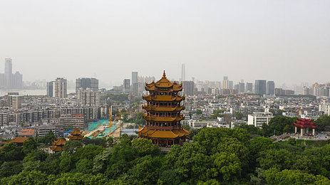 黄色软件OPPO免费3 03：揭秘惊疑：知名品牌软件疑云，用户隐私安全谁来守护？-1