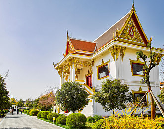 道色一本：穿越千年道韵，畅享自然色彩之旅