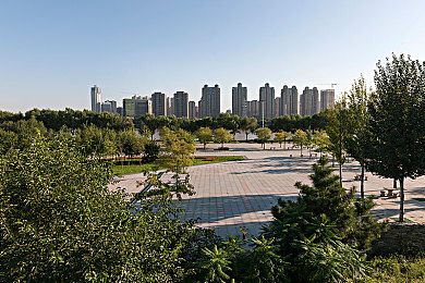 黄色广告入口：网络清朗之旅，守护绿色游戏空间-2