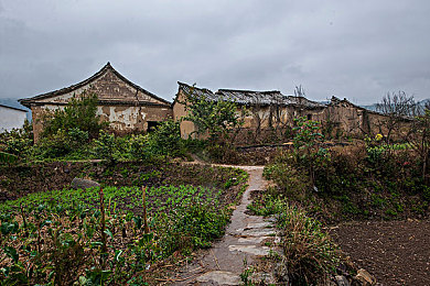 打扑克又叫又疼的视频软件：斗地主狂潮：趣味角色助阵，高清画质打造沉浸式欢乐之旅