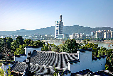 打扑克又叫又痛免费：趣味互动免费新潮流，扑克游戏热潮席卷社交圈-2
