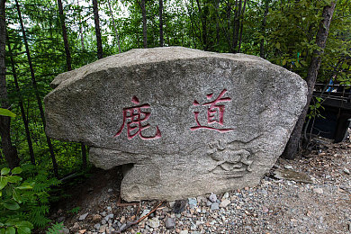 原神八重神子被爆炒：《原神》角色热潮，市场炒作与产业影响探讨：理性消费，共守游戏生态-2