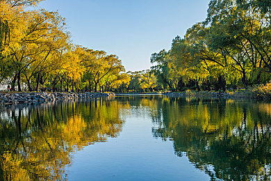 桃花岛TV亚洲：东方神话新体验：神秘桃花岛奇幻之旅游戏即将开启，探索神秘岛国传奇冒险！-5