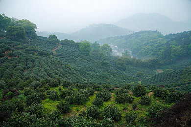 正能量免费不用下载www.：《阳光小镇》免费网页游戏上线，轻松休闲体验生活美好-4
