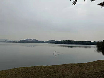蜜桃秀直播：多彩直播盛宴，蜜桃秀引领娱乐新潮流，塑造文化新风尚-3
