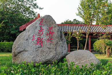 免费黄游：探索奇幻绿野：免费游戏世界中的无限魅力之旅