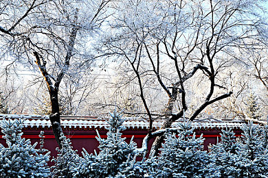 老师让我吃她胸 摸她奶：守护青春，师德之光：教育危机大揭秘