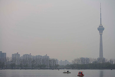 英语老师的兔子又大又圆又好吃：趣味英语乐园，学习之旅奇遇记