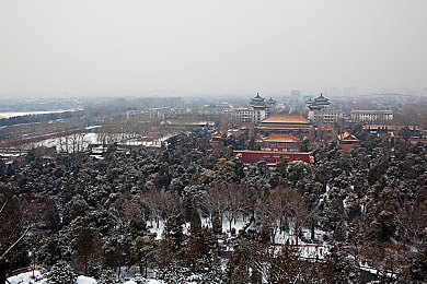 班花趴下让我 我爽了好久：解谜互动，情感共鸣：揭秘冒险之旅中的欢笑与感动-4