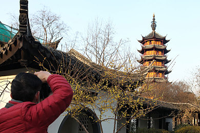 播种都市下载小熊移植：都市绿洲，熊熊种植，乐享田园时光
