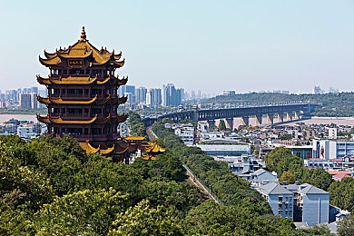 极品美女啪啪：网络风波：揭秘不雅视频背后真相-2