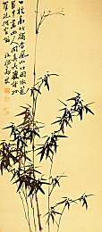 美女不穿衣服的软件：隐私风险与道德挑战，揭秘神秘模特秀应用-3