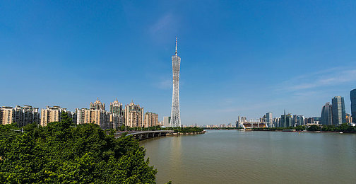 猫咪官网app：猫界新宠，一站式服务平台引领宠物潮流