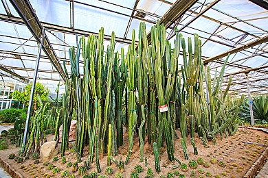 国产性av：华夏光影盛宴，文化传承与产业繁荣共舞-3