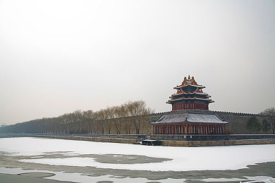 击球手与前锋：梦想之翼，运动星光——竞技场上的双星闪耀之路-2