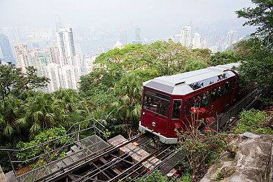 防止域名失效 请牢记：“守护虚拟家园，域名安全之旅：续费攻略与争议应对全解析”-3