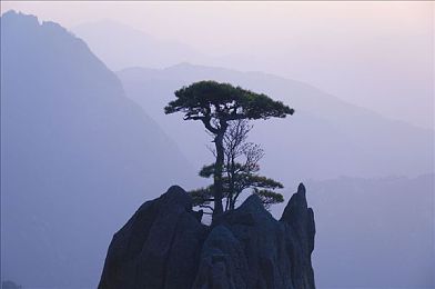 警熊初更第三部交警马国力TXT：交警马国力传奇续篇：警民情深小说第三部点燃正义之光-4