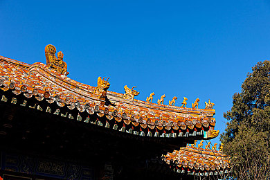 注水器打水处罚视频网站：正义曝光，打假维权之旅-2
