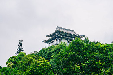 十一岁女儿小芳的丈夫叫什么名字：“十一岁女孩婚姻争议引发关注：未成年人保护问题亟待全社会共同关注与反思”-1