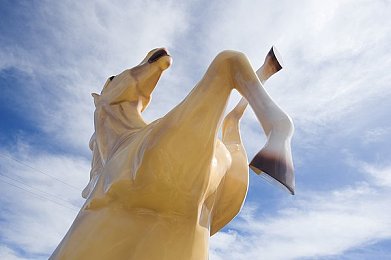 貂蝉两只大兔子：网络热议“貂蝉两只大兔子”现象：传统文化新解读与现代碰撞火花-4