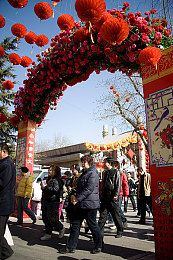 亚洲精品在：穿越东方秘境，领略品质传奇之旅-4