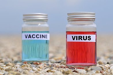 榴莲视频污APP下载：短视频乐园，欢乐放松一触即达-2
