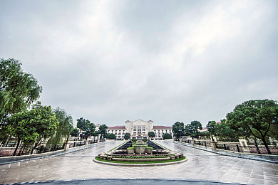 小黄猫传媒：解码新媒体魔力，小黄猫传媒助力品牌腾飞之旅-4
