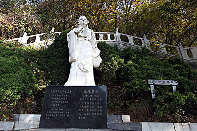 一个释放蝌蚪窝的平台：温馨孵化奇旅，共筑蝌蚪乐园梦-3