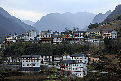 欧美13一14娇小摘花：时光之花：揭秘13-14世纪艺术瑰宝之旅-2