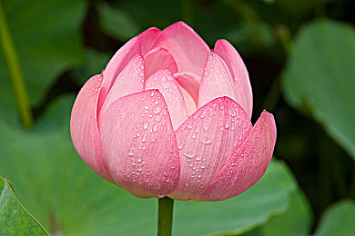 多田有花：古韵新章，花艺绽放——日本传统之美与现代生活的和谐交响-2