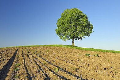 火影忍者裸体游戏：忍界秘境：火影激情探险，体验全新裸露挑战-4