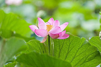 奴役 支配 性狂虐 极端：网络直播伦理危机：揭秘“极端狂虐”现象，共建清朗网络空间-2