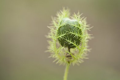 免费涉黄软件下载：揭秘游戏宝藏，畅游无界新体验：解锁海量免费佳作攻略-2
