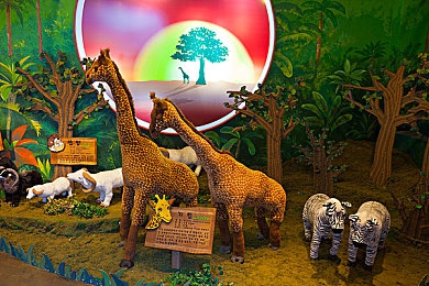 仙踪林在线看片入口：独家揭秘：新兴网络影视平台仙踪林，高清海量资源引领观影新潮流-4