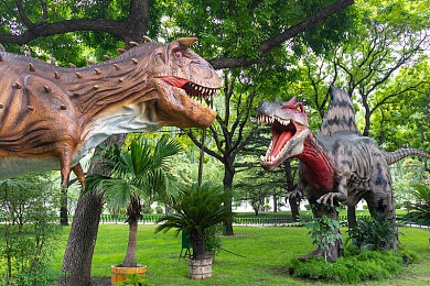 小马拉大车孩儿欧美：崛起海外，中国游戏市场新势力：深耕细分，共赢未来-4