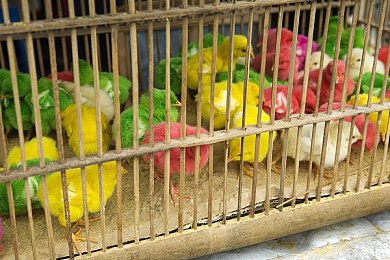 男生和女生一起差差很痛的app：情侣性生活难题引热议，神秘“差差痛”应用真相揭秘，道德风险引关注-4