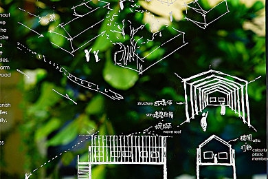 白白色：色彩之韵：揭秘“白白色”现象，文化艺术社会三重奏-4