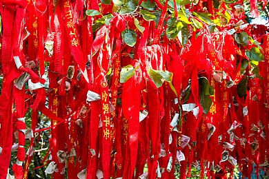 黄色篇软件：揭秘利器，畅游知识海洋：解锁高效信息获取之旅-3