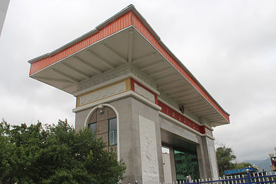 含羞草免费app：匿名互动，畅游社交新天地-3