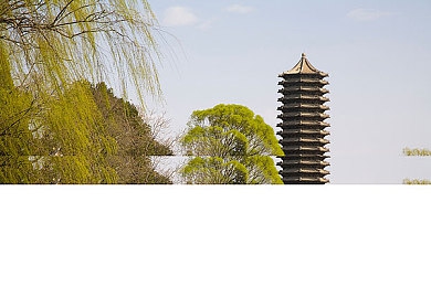 美国水蜜桃：跨境美味绽放：揭秘全球水果市场的新宠儿-2