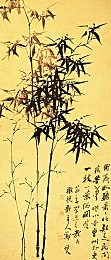 黄聊app：网络清道夫行动：揭秘社交平台自律与监管的双重防线，共建无“黄”网络生态-3