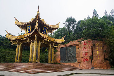 含羞草一天只能看三次：奇趣互动，每日三笑，轻松解压游戏之旅-5